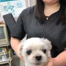 눈;꽃처럼예쁘다
