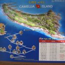 활주로민박 이미지