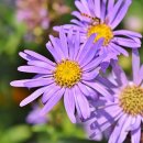 한누리 행정사사무소 이미지