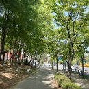 수원-0449 이미지