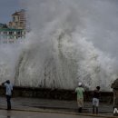 이언농장 이미지