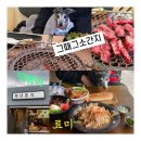 가정애견하우스 | 경주 애견 동반 맛집 그때그소간지, 료미 내돈내산 후기