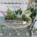 이치발 이미지