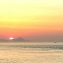 야생화 민박 이미지