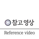 산호애견 이미지