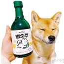 맛있는세상 이미지