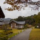 힐링이 되는 비내섬 이미지