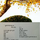 백향 이미지