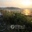 버들나루터마을 이미지