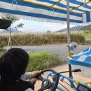 동선전기(주) | 🌾 [포천 한탄강 가든페스타] 서울근교 가을나들이｜아이랑 전기자전거 타고 꽃정원 산책 후기 🍂
