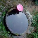 내면주유소 이미지