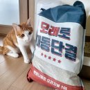 뉴트로연구소