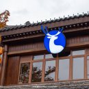 루이신 이미지