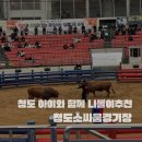 소싸움경기장 | 청도 아이와 가볼만한 곳｜청도소싸움경기장 특별한 체험 후기