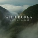 와일드라이프스튜디오