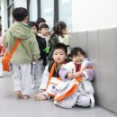 최고태권도장 이미지