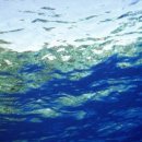 꿈꾸는 헤밍웨이 이미지