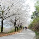 아라메길(3) 이미지