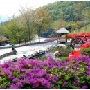 백아산자연휴양림 이미지