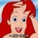 에덴한방차