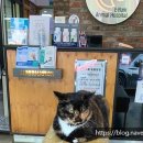 서울이룸병원 이미지