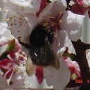 월곡공원 이미지