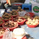 구룡포시장 이미지