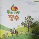 이종무장군대마도정벌 이미지