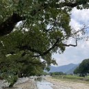 소나무흙집민박 이미지