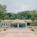 베리코스 이미지