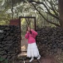 제주 자고가 | 제주 서귀포 서쪽 가볼만한곳 산양큰엉곶, 내돈내산 후기