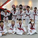 옥빛 태권도장 이미지