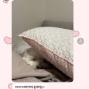 김포얼큰이닭발 | 잘 지냈다 잘 버텼다 11월