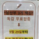 11650-16-29-5 | [임신기록] 29-31주 입체초음파 베이비페이스 후기 백일해 독감 접종