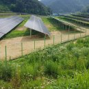 유성2태양광발전소 이미지