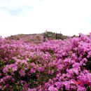 국일장여관 이미지