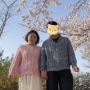 사먼스 | 💗🧂솜솜뜨개 러스크로 뜬 헤이먼스 가디건 커플 뜨개옷 문어발 청산. . 기록🫐🌀