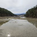 윤부자공인중개사사무소 이미지