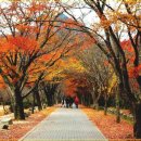 2018년 11월10일 토요일~ 내장산.백암산 ~ 산행안내 이미지