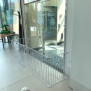 러빗댕댕 | 대구 동구 신상애견카페 | 신상애견카페 “멍러빗” 잼잼이와 함께 다녀왔어요🐷🩵