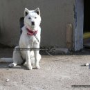 생리마을회관 이미지