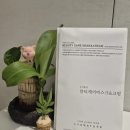 주식회사 숨앤케어 | 리아네이처 이영애 마스크팩. 민감성 피부 정착! 뷰티케어마스크앤크림 솔직 후기 (ft. 40대 화장품 추천)