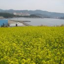 좋은아침 이미지