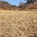 신양농장 이미지