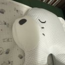 이몽 | 신생아 옆잠베개 추천 이몽 모모 후기/허그곰 쓰다가 갈아탄 솔직 비교