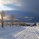 세품글로벌 이미지