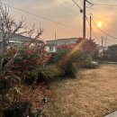 만택이네돌담집 이미지