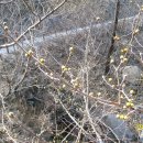 신세계목욕탕건물 이미지