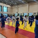 (Dream of JUDO)영동유도관 | [Dream of judo 배 유도대회] 드림오브유도대회는 우리들만의 축제~[반석유도관&amp;주짓수]