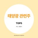 ㈜도시환경이엔지태양광발전소2호기 | 국내 태양광 관련주 / 국내 태양전지 회사 TOP5 정리 및 대장주